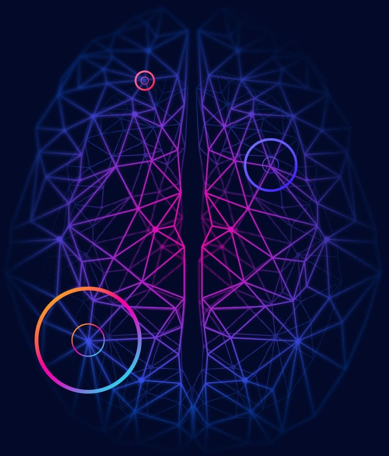 Neural network representation of a human brain