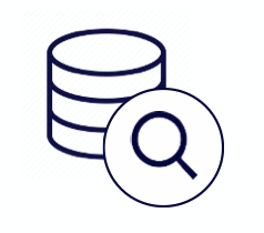 Database search icon