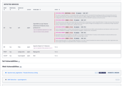 Vulnerability scan report showing detected services and CVEs